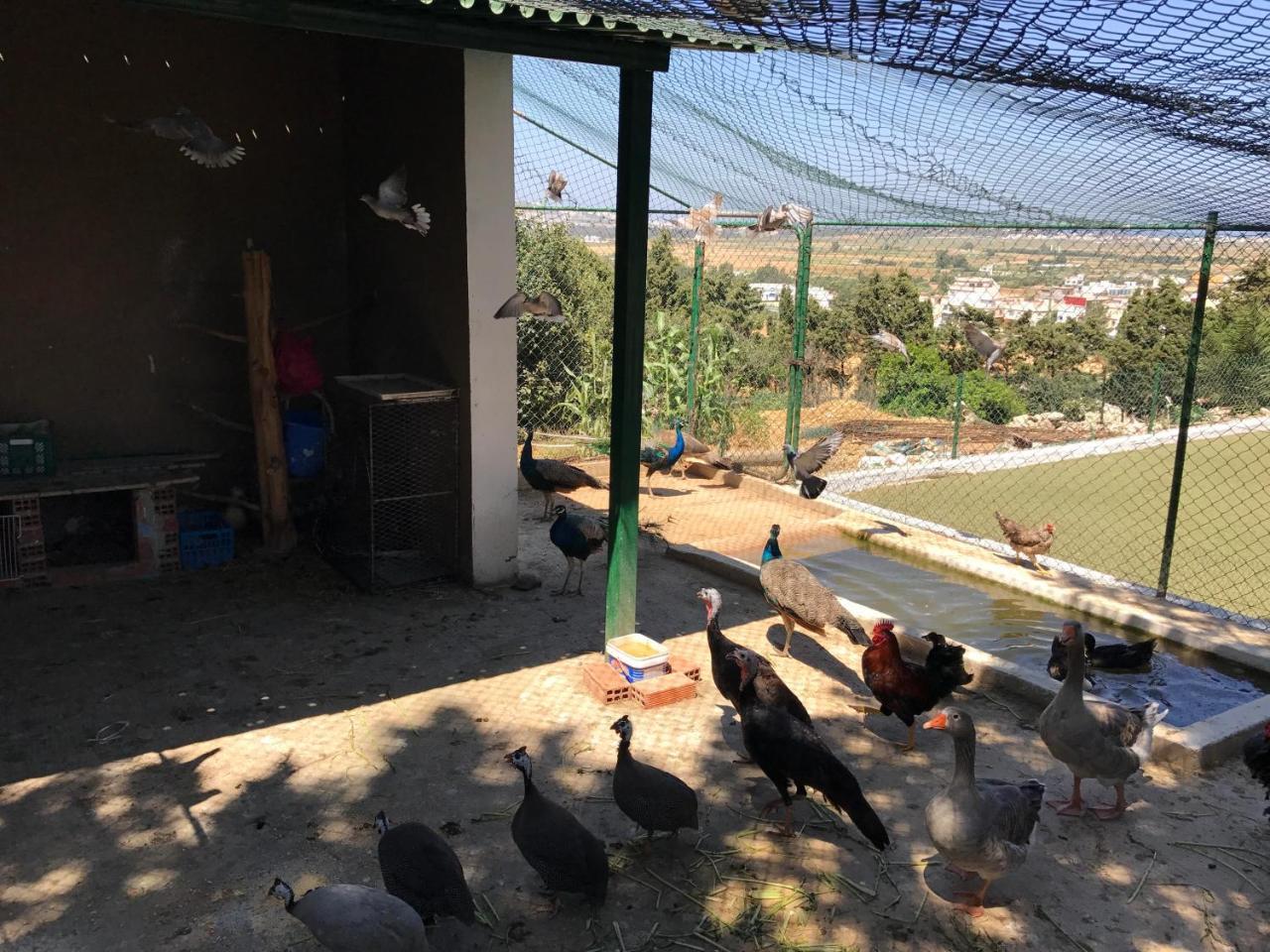 Résidence NARDINA GOLDEN El Malaliyine Exterior foto